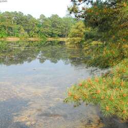Indian Rock Campground