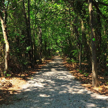 A Summer Walk Through FREC (2015) - 11/03/2015