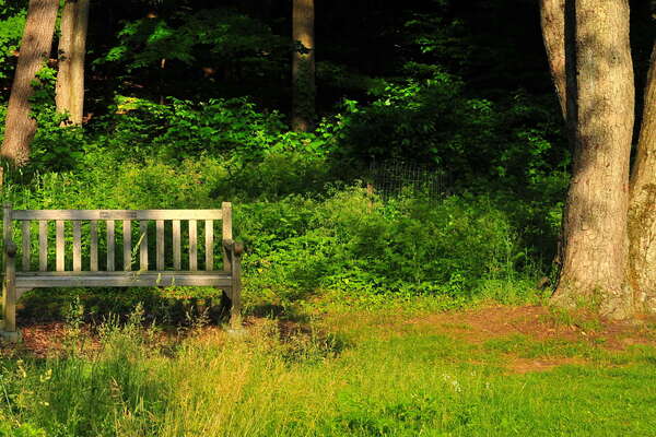 Frelinghuysen Arboretum - June 16th 2014