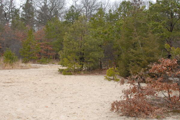 Areas with sand and benches