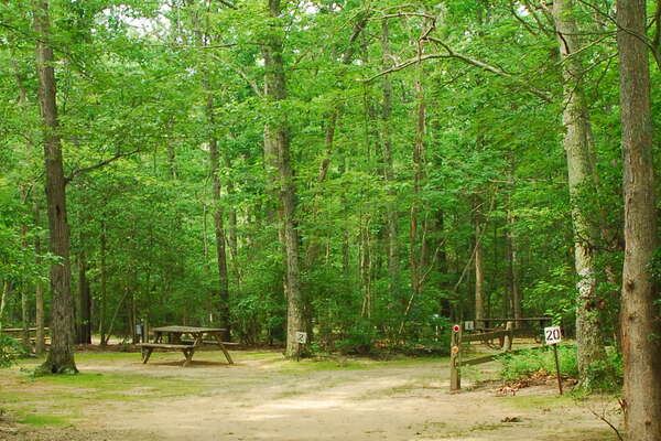 090626-131-birch-grove-campground.jpg