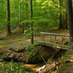 Photos Of: Woodfield Reservation (2008) - 06/28/2008