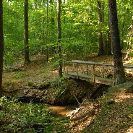 Photos Of: Woodfield Reservation (2008) - 06/28/2008