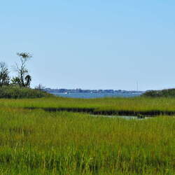 Post-Sandy Clean-Up to Begin at E.B. Forsythe NWR