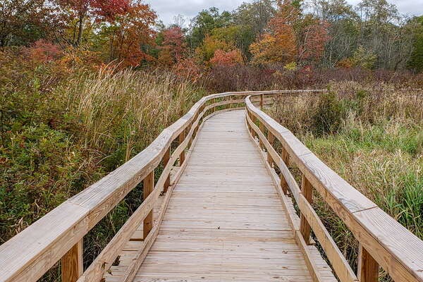 Fall HIking in Lord Sitrling Park