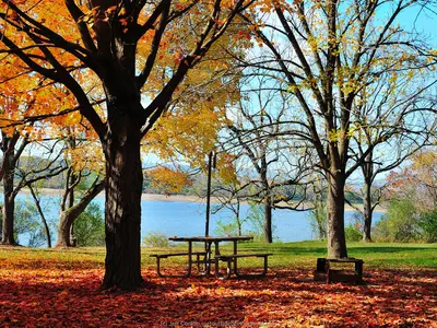 NJ Fall Colors This Weekend: Peak Up North, Just Starting Down South (Oct 16)