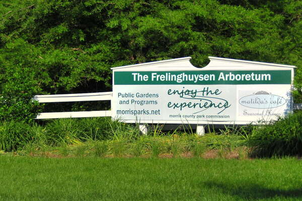 Frelinghuysen Arboretum - June 16th 2014