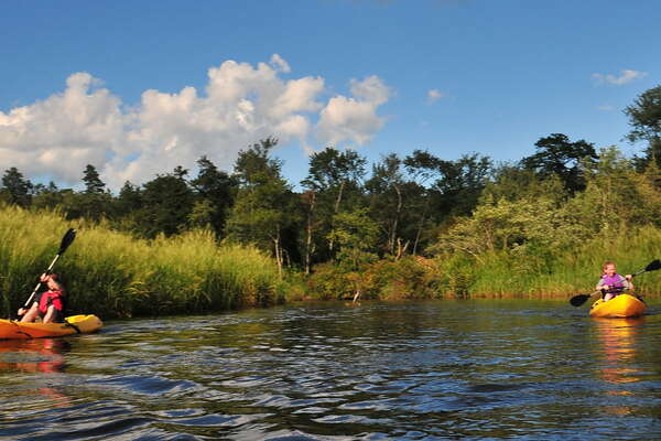 Downstream on the Metedeconk - 6