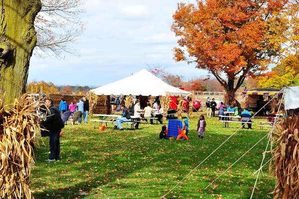 Snyders Farm Fall Festival - 2015