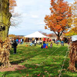 2015 Fall Festival - Snyders Farm - 10/30/2015