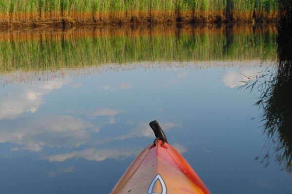 Manasquan River Wildlife Management Area