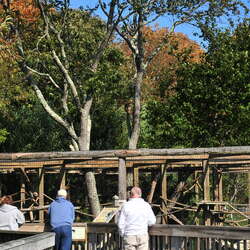 Photos of: Cape May County Park and Zoo -- Grounds - 04/19/2012