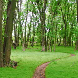 Photos of: Mercer County Park -- Trails - 03/15/2012