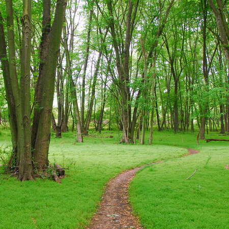 Photos of: Mercer County Park -- Trails - 03/15/2012