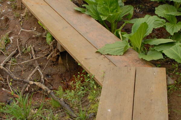 The bridge to nowhere. Wait.. nevermind the trail keeps going