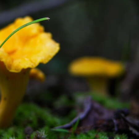 Have you visited the NJ Outdoor Map yet? You should... 