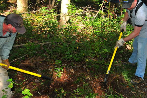 Knicks for drainage - 2