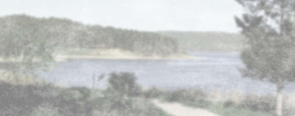 Giant tortoise, friends get a permanent home at the Popcorn Park Zoo