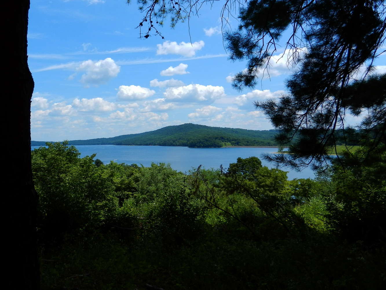 are dogs allowed at spruce valley reservoir nj