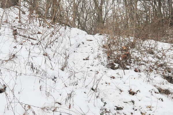 The small path off the road