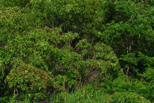 Windward Beach Park, Brick, NJ