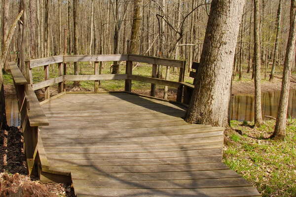 Trails in Lord Stirling Park