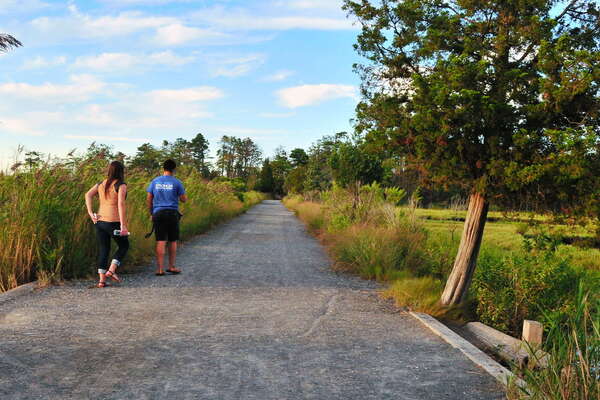 The main walkway/path/access road