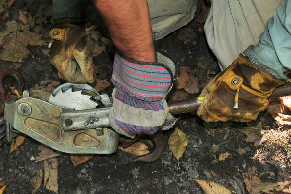 This will do the hard work