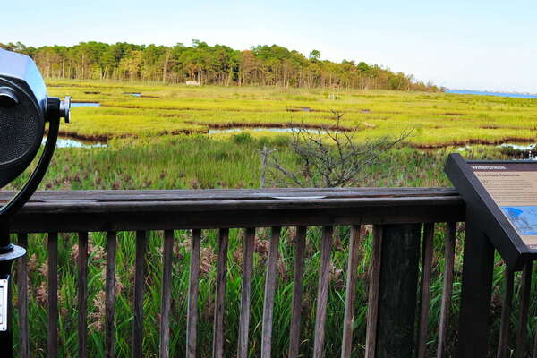 What a nice overlook