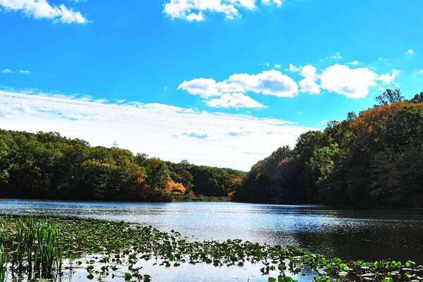 Perrineville Lake Park