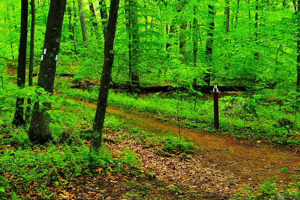 Stephens State Park