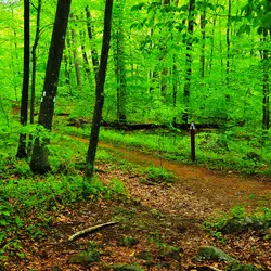 Stephens State Park