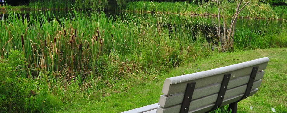 New Locations, Groups, and Galleries..