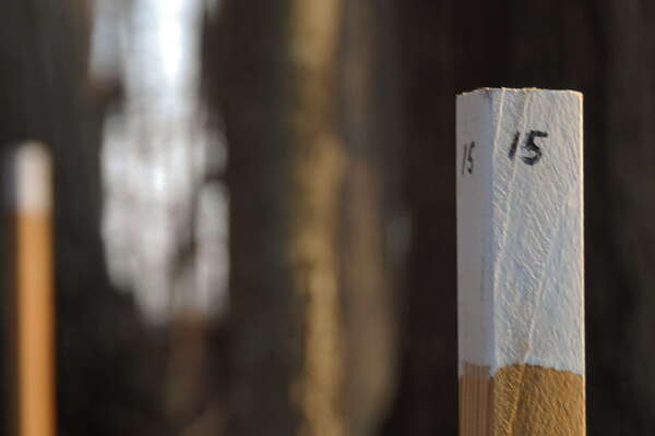 Davidson's Mill Pond