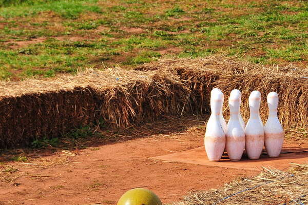 Snyders Farm Fall Festival - 2015