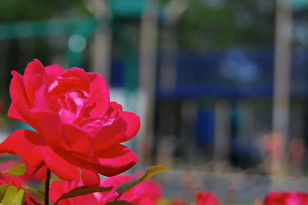 Norman J. Sherman Park, Brick, NJ