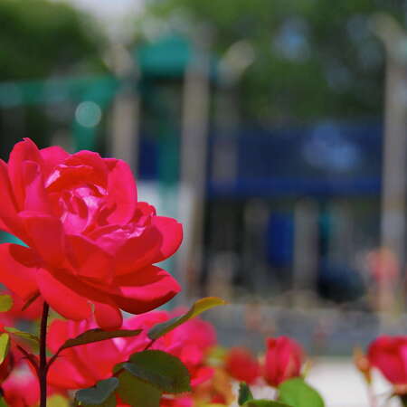 Photos Of: Arrowhead Park (2009) - 08/18/2015