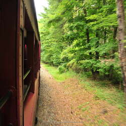 All Aboard the Tioga Central Railroad! (update 2025)