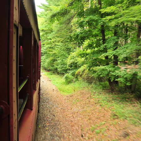 All Aboard the Tioga Central Railroad! (update 2025)