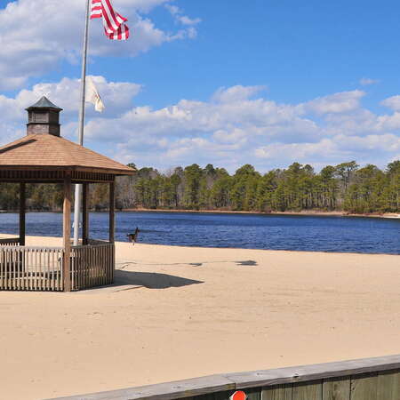 Photos Of: Waretown Lake & Recreation Area - 03/16/2014