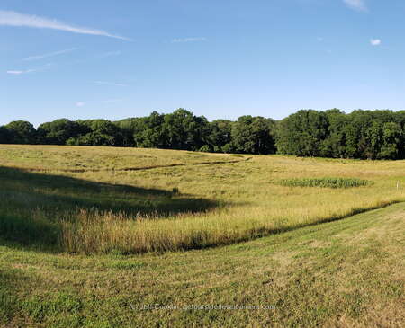 The Bowl Sledding Hill at Holmdel Park