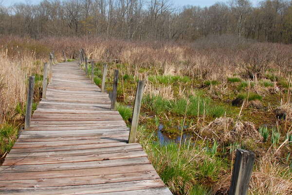 Boondocks Boardwalk