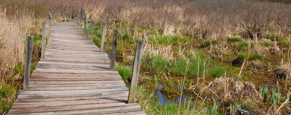 Rebuild the Boondocks Boardwalk...