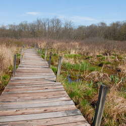 Rebuild the Boondocks Boardwalk...