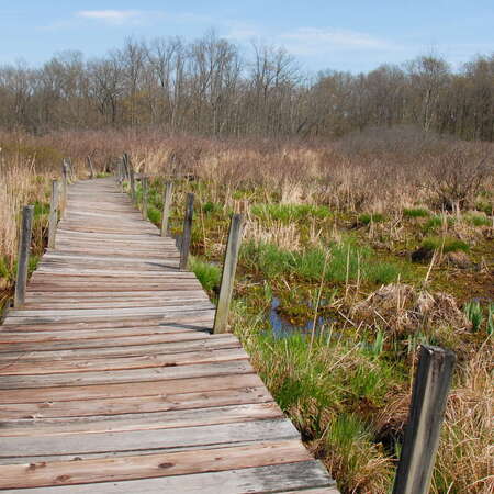 Rebuild the Boondocks Boardwalk...