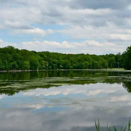 Darlington County Park
