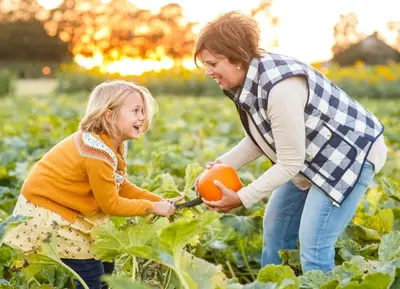 Johnson's Corner Farm Fall Harvest Festival Weekends