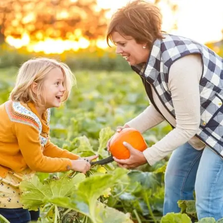 Johnson's Corner Farm Fall Harvest Festival Weekends